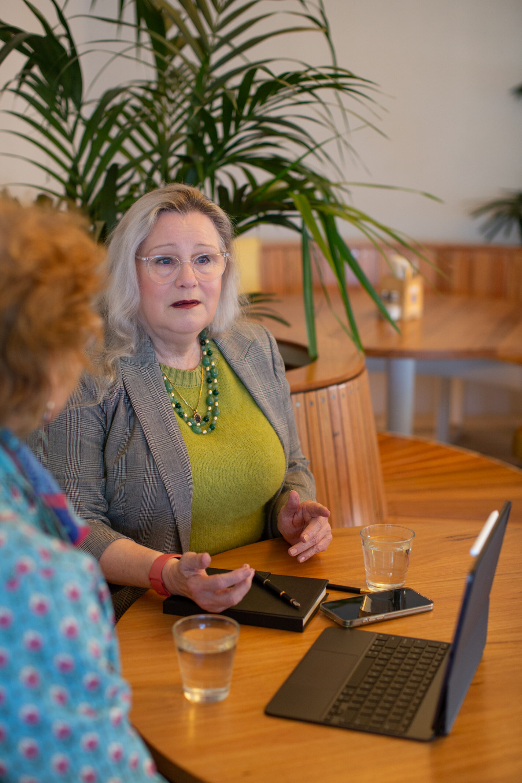 Sue-Ellen Wright meeting with a client in a calm setting, discussing mediation options for family dispute resolution in Queensland.